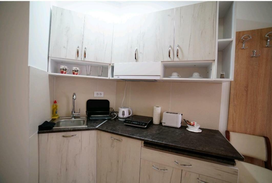 Apartmani Diksi Nagybecskerek Kültér fotó