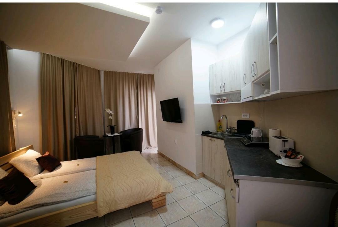 Apartmani Diksi Nagybecskerek Kültér fotó